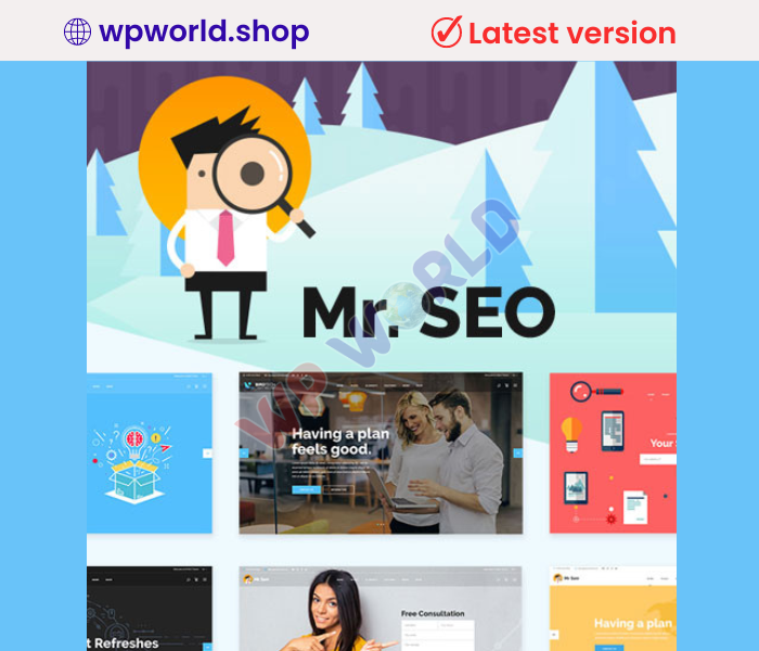 Mr. SEO | SEO, Marketing Agency and Social Media Theme