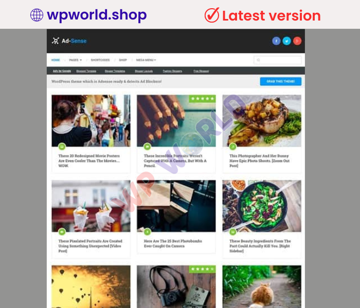 MyThemeShop Ad-Sense WordPress Theme