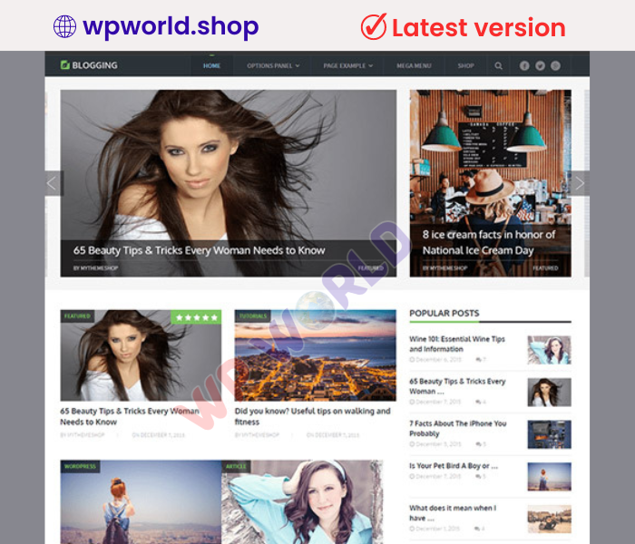 MyThemeShop Blogging WordPress Theme