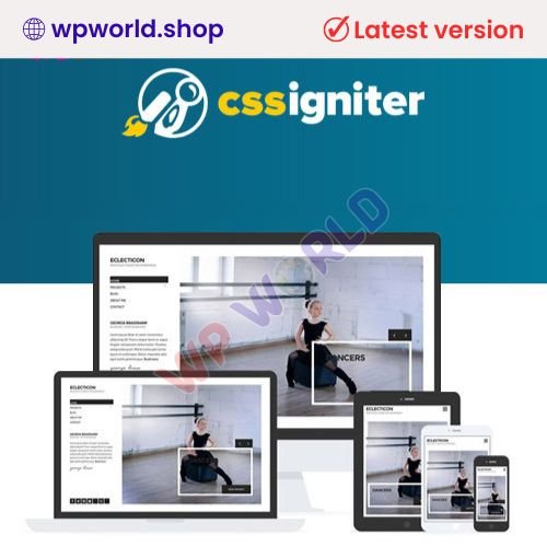 CSS Igniter Eclecticon WordPress Theme