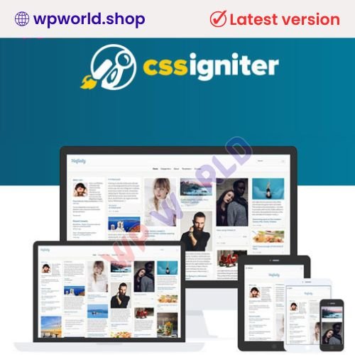 CSS Igniter Pinfinity WordPress Theme