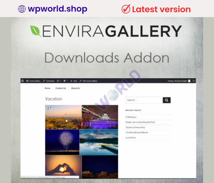 Envira Gallery | Downloads Addon