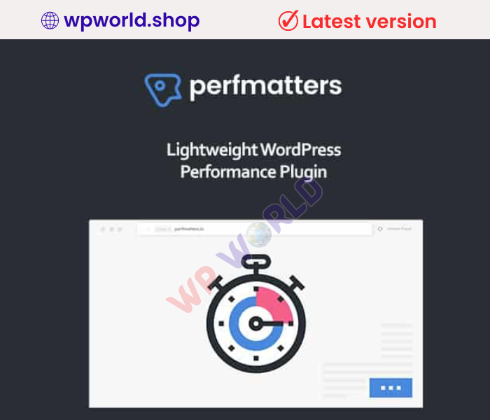 Perfmatters WordPress Plugin