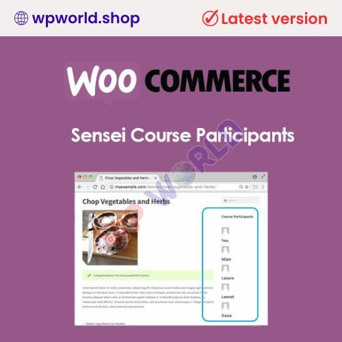 Sensei Course Participants