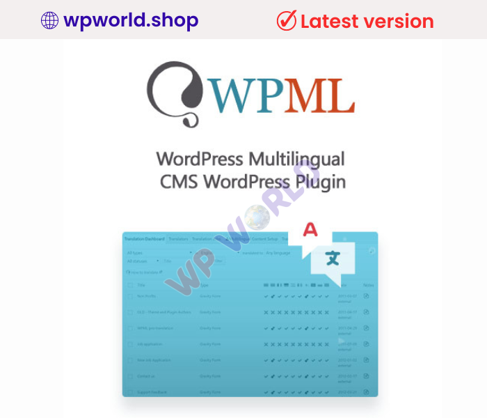 WordPress Multilingual CMS WordPress Plugin