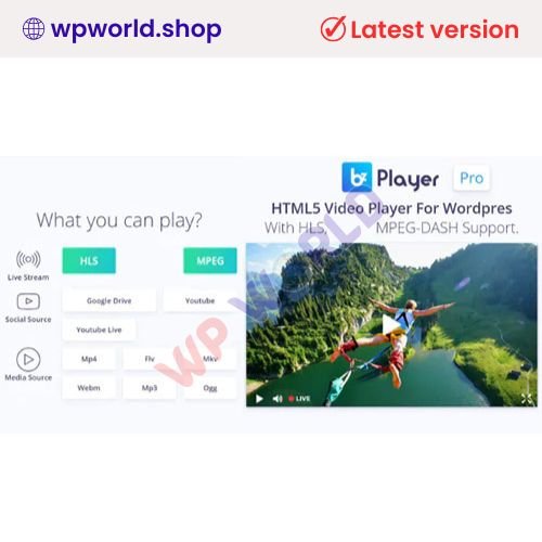 bzplayer Pro | Live Streaming Player WordPress Plugin