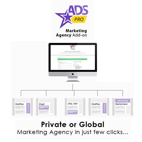 Ads Pro Add-on | WordPress Marketing Agency