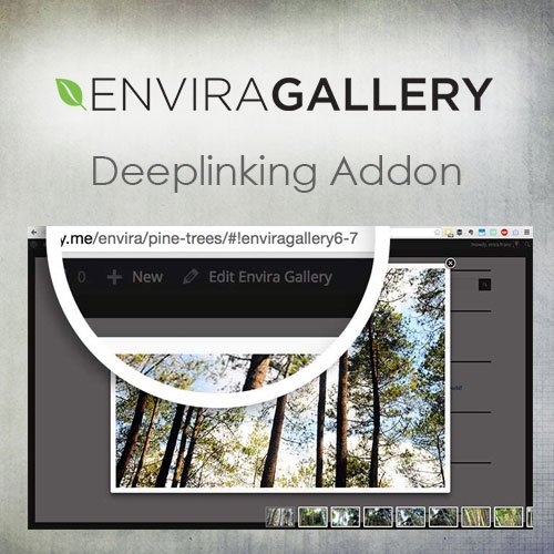 Envira Gallery | Deeplinking Addon