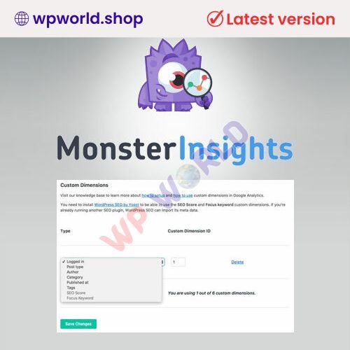 MonsterInsights – Dimensions Addon